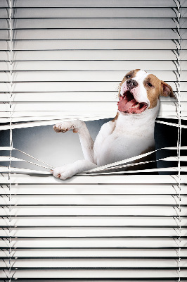 Store enrouleur occultant chien