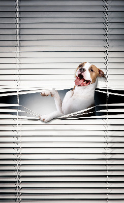 Store enrouleur occultant chien