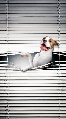 Store enrouleur occultant chien