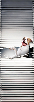 Store enrouleur occultant chien