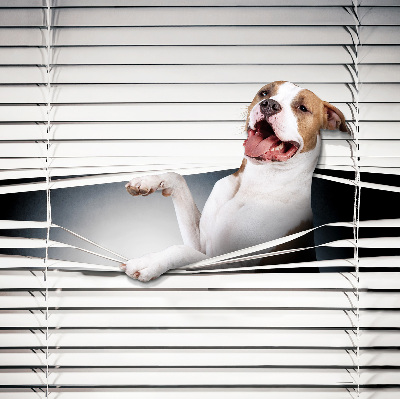 Store enrouleur occultant chien