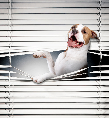 Store enrouleur occultant chien