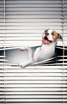 Store enrouleur occultant chien
