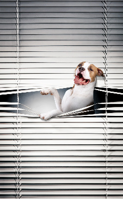Store enrouleur occultant chien