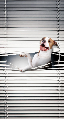 Store enrouleur occultant chien