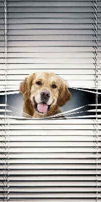 Store occultant fenêtre golden dog