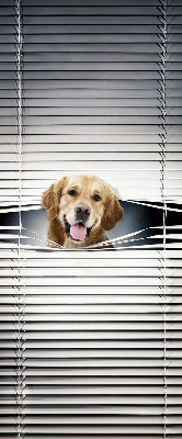 Store occultant fenêtre golden dog