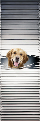 Store occultant fenêtre golden dog