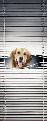 Store occultant fenêtre golden dog