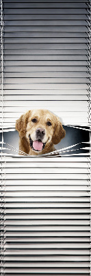 Store occultant fenêtre golden dog