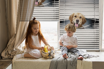 Store occultant fenêtre golden dog