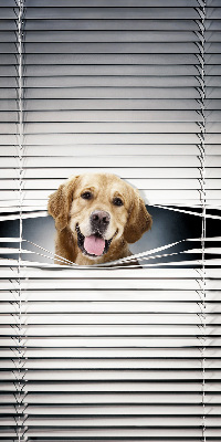 Store occultant fenêtre golden dog