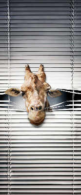 Store occultant fenêtre girafe