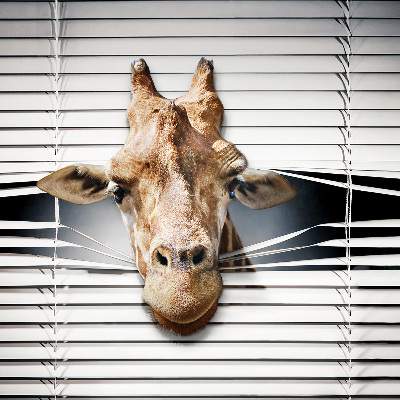 Store occultant fenêtre girafe