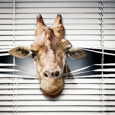 Store occultant fenêtre girafe