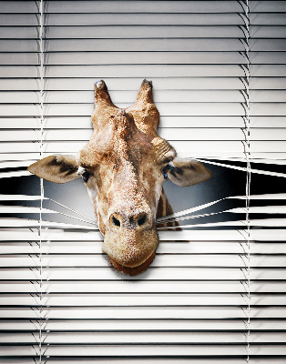 Store occultant fenêtre girafe