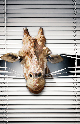 Store occultant fenêtre girafe