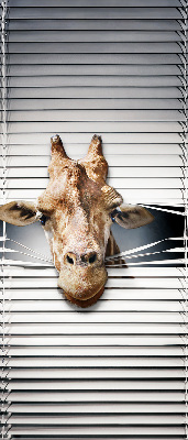 Store occultant fenêtre girafe