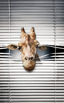 Store occultant fenêtre girafe