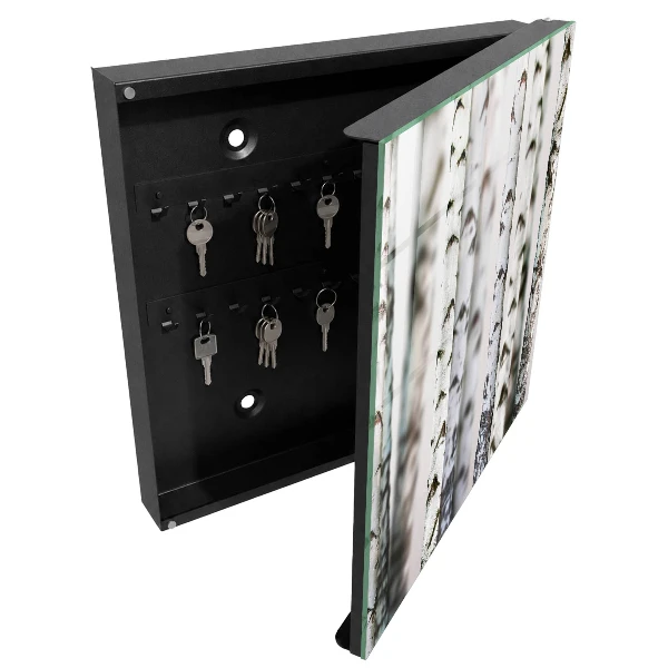 Armoire à clés décorative Troncs de bouleau