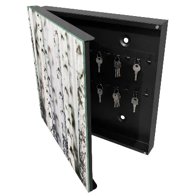 Armoire à clés décorative Troncs de bouleau