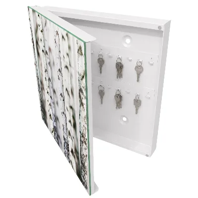Armoire à clés décorative Troncs de bouleau