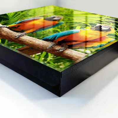 Armoire à clés décorative Oiseaux tropicaux