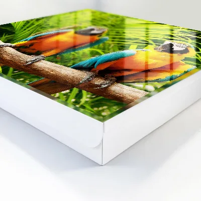 Armoire à clés décorative Oiseaux tropicaux