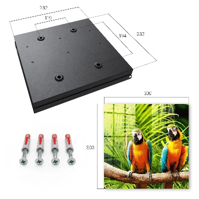 Armoire à clés décorative Oiseaux tropicaux