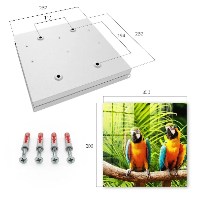 Armoire à clés décorative Oiseaux tropicaux