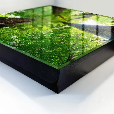Armoire à clés décorative Ciel de forêt