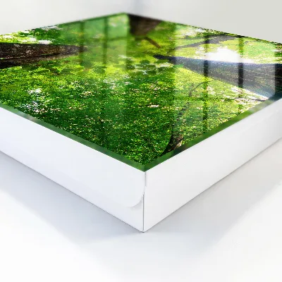 Armoire à clés décorative Ciel de forêt