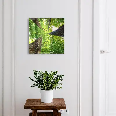 Armoire à clés décorative Ciel de forêt
