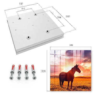 Armoire à clés design Cheval au soleil
