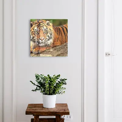 Armoire à clés design Tigre au repos