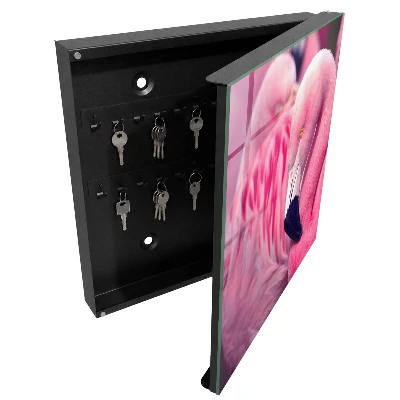 Armoire à clés design Beauté rose