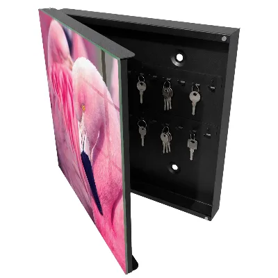 Armoire à clés design Beauté rose
