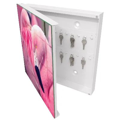 Armoire à clés design Beauté rose