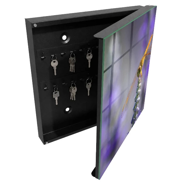 Armoire à clés décorative Libellule sur une fleur