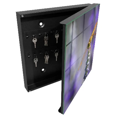 Armoire à clés décorative Libellule sur une fleur