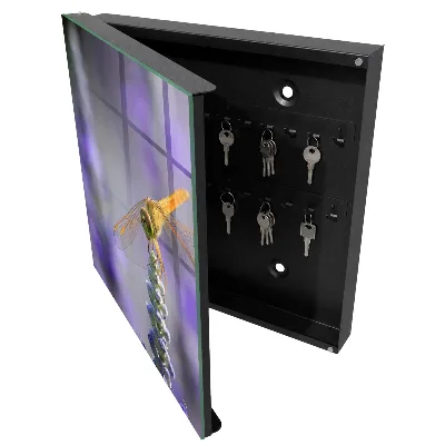 Armoire à clés décorative Libellule sur une fleur