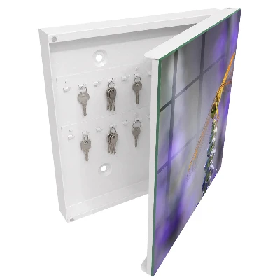 Armoire à clés décorative Libellule sur une fleur
