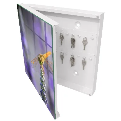 Armoire à clés décorative Libellule sur une fleur
