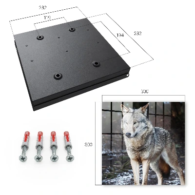 Armoire à clés décorative Loup dans la forêt
