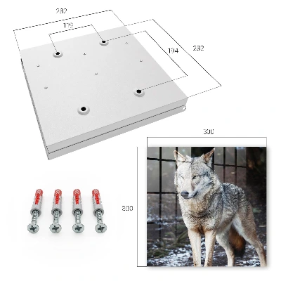 Armoire à clés décorative Loup dans la forêt
