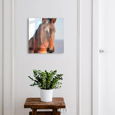 Armoire à clés décorative Portrait d'un cheval