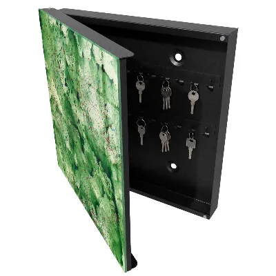 Armoire à clés design Chaos vert