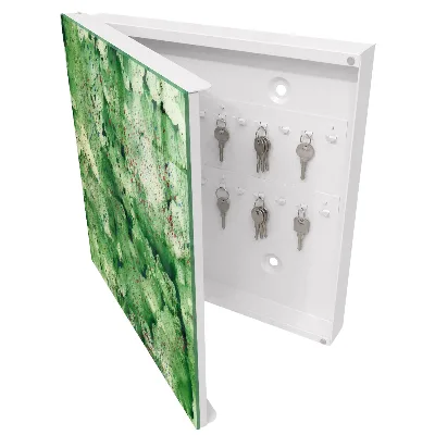 Armoire à clés design Chaos vert