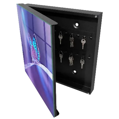 Armoire à clés design Papillon coloré
