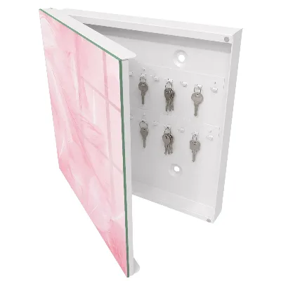 Armoire à clés design Plumes roses